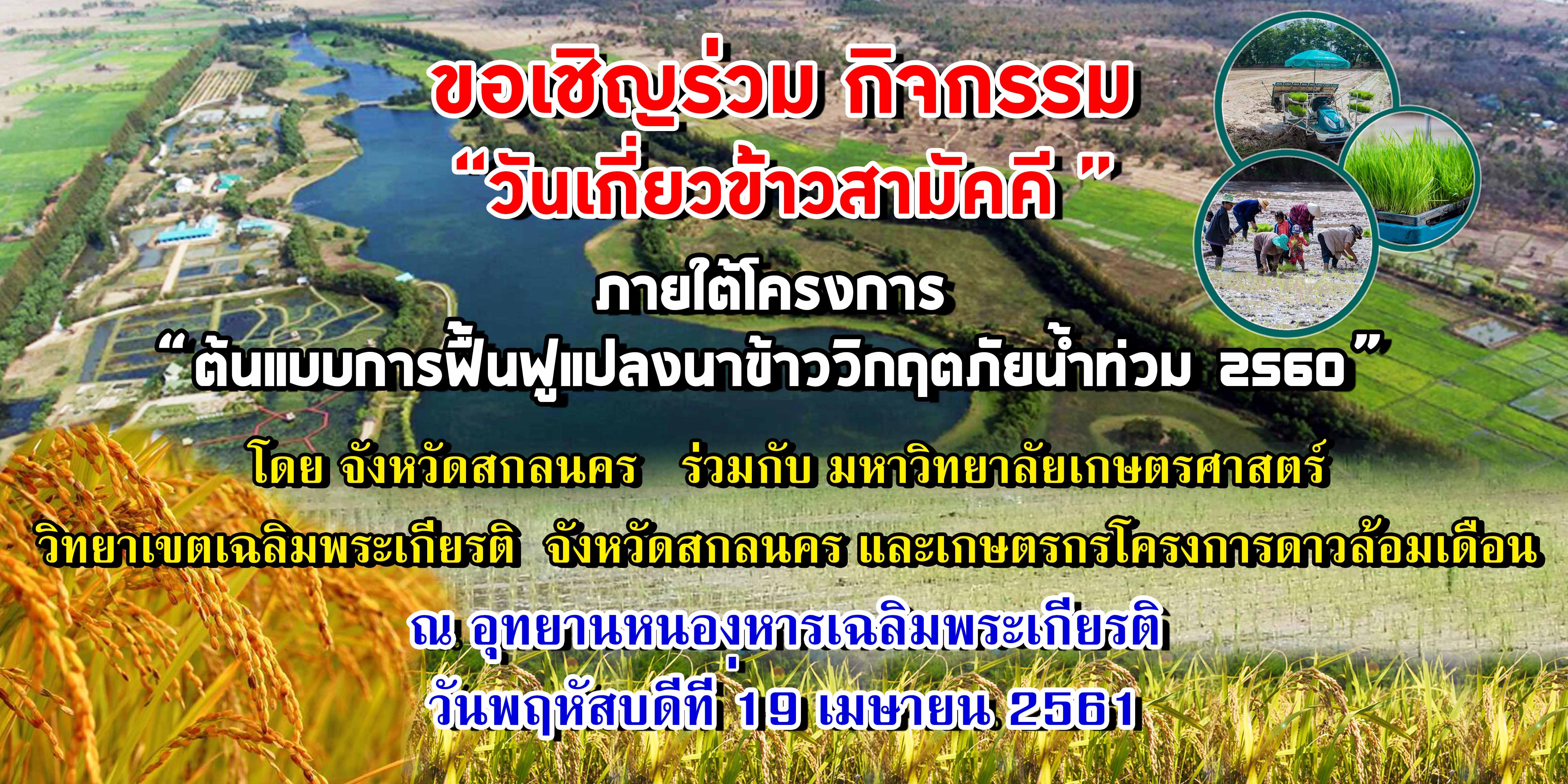 กิจกรรม “วันเกี่ยวข้าวสามัคคี ”