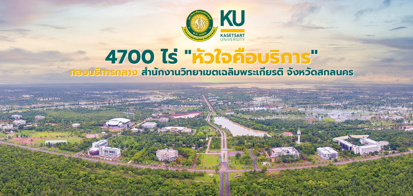 ตัวอย่างเนื้อหาบทความภายในเว็บไซต์